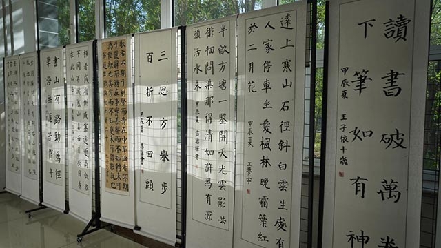乌海市第十六中学学生的书法作品