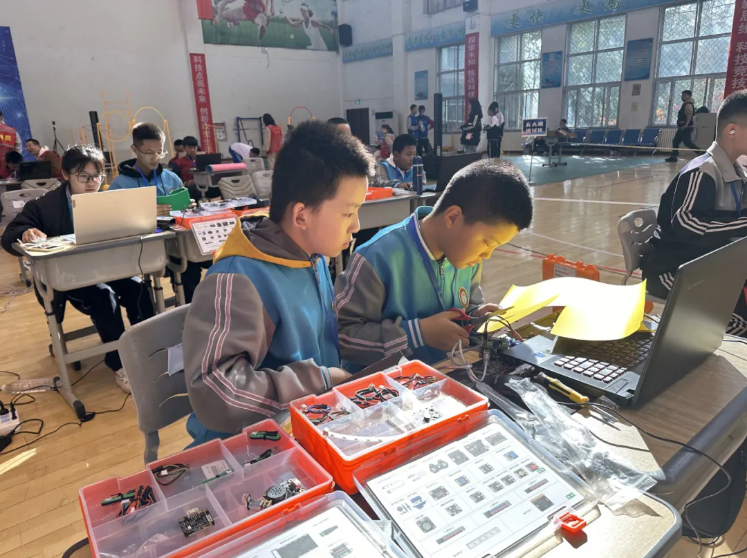 图片