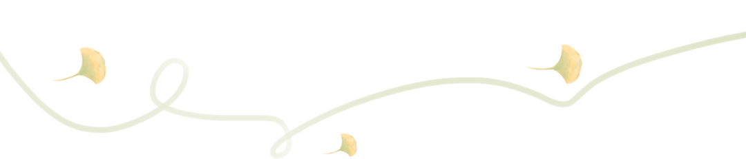 分割线.png