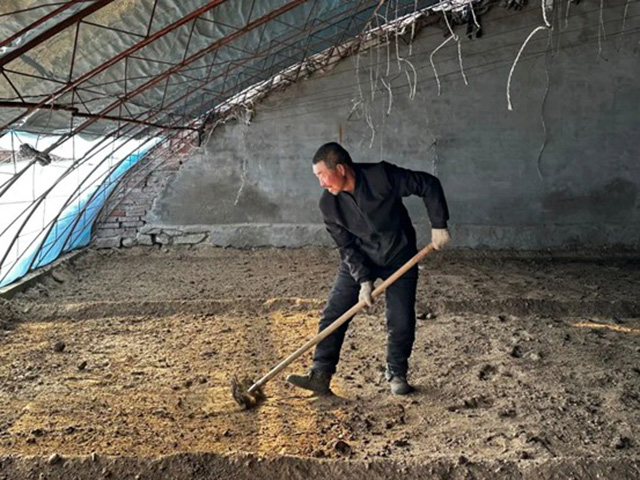 乌海市海勃湾区千里山镇团结新村村两委成员正在平整土地。张琦摄