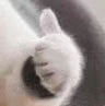 1743148229313.png