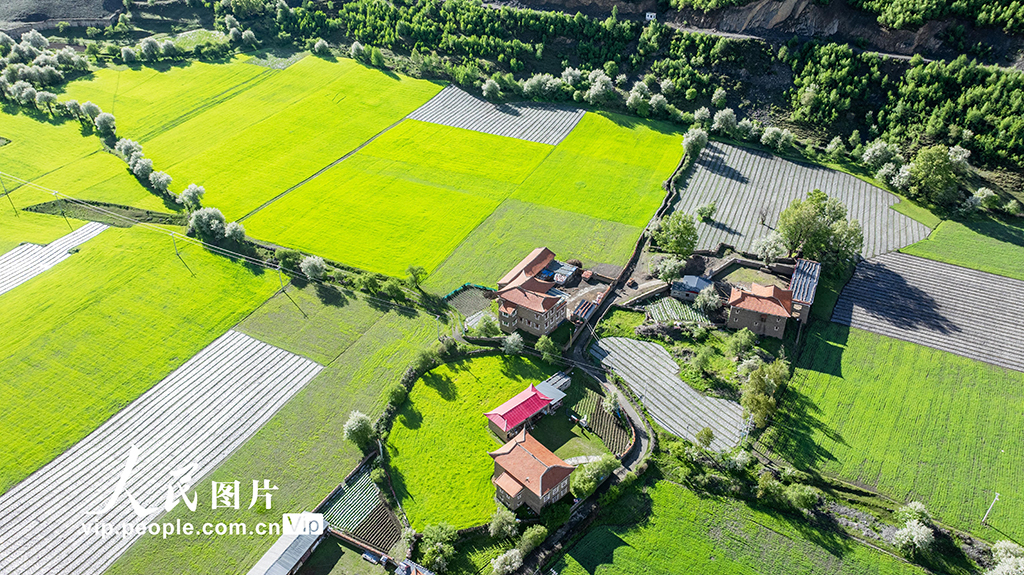 四川康定：昌木村景美如画【2】