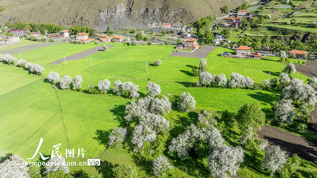 四川康定：昌木村景美如画【4】