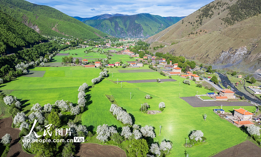 四川康定：昌木村景美如画