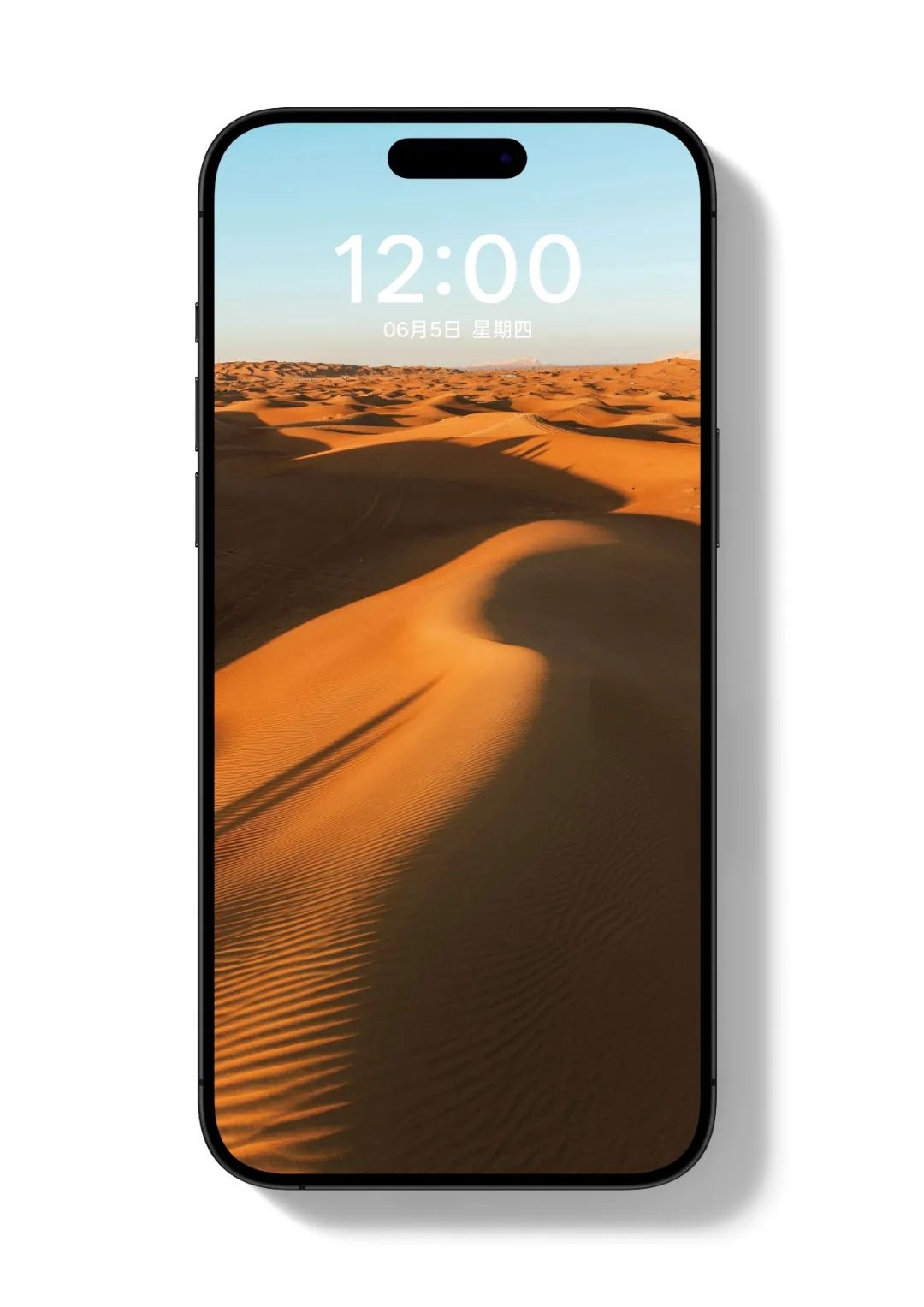 未标题-7_画板 1.jpg