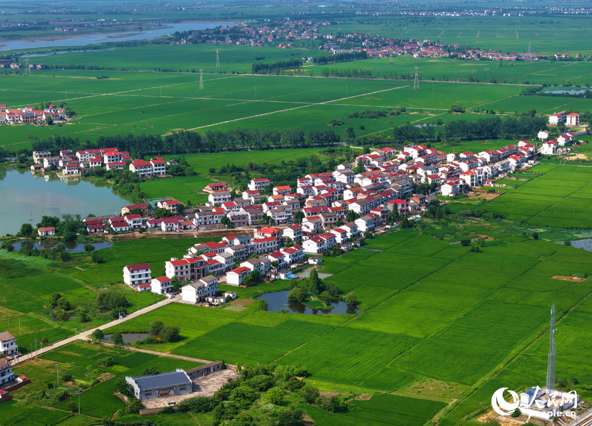 南昌县泾口乡，广袤的田野与村落、公路、河流共同构成一幅美丽的乡村画卷。人民网记者 毛思远摄