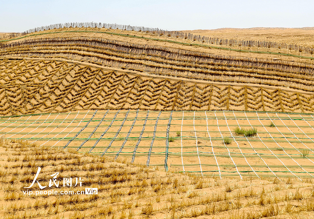 甘肃民勤380公里环绿洲锁边林带闭环围合