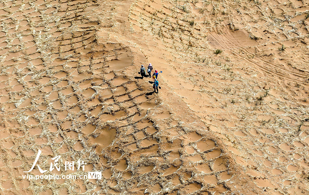 甘肃民勤380公里环绿洲锁边林带闭环围合【2】