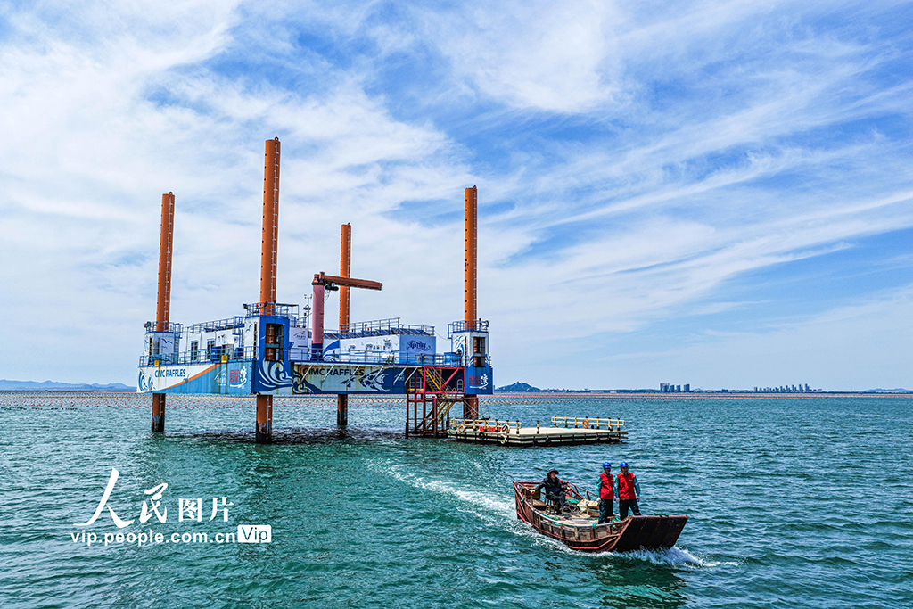 山东荣成：电力巡检为海洋牧场“护航”