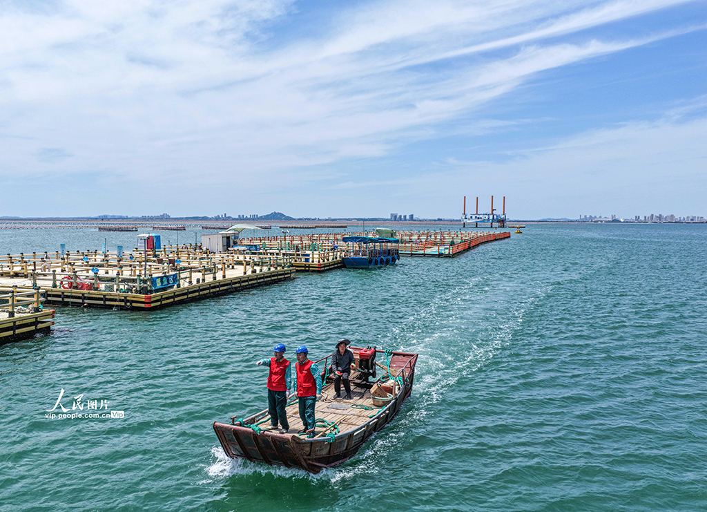 山东荣成：电力巡检为海洋牧场“护航”【4】