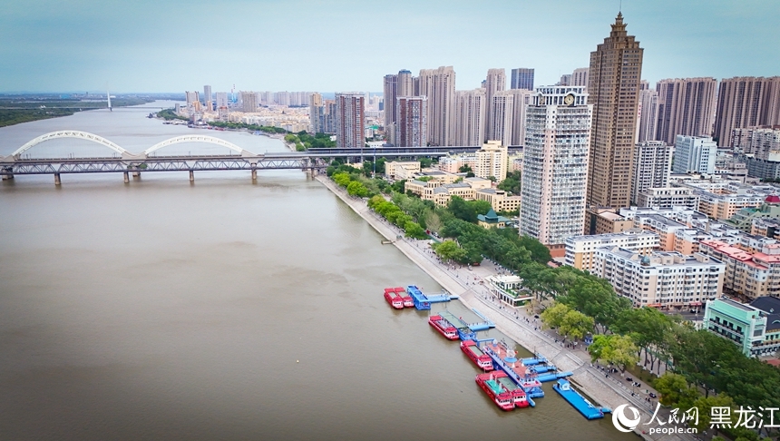 夏有凉风在冰城｜松花江畔乐享夏日时光