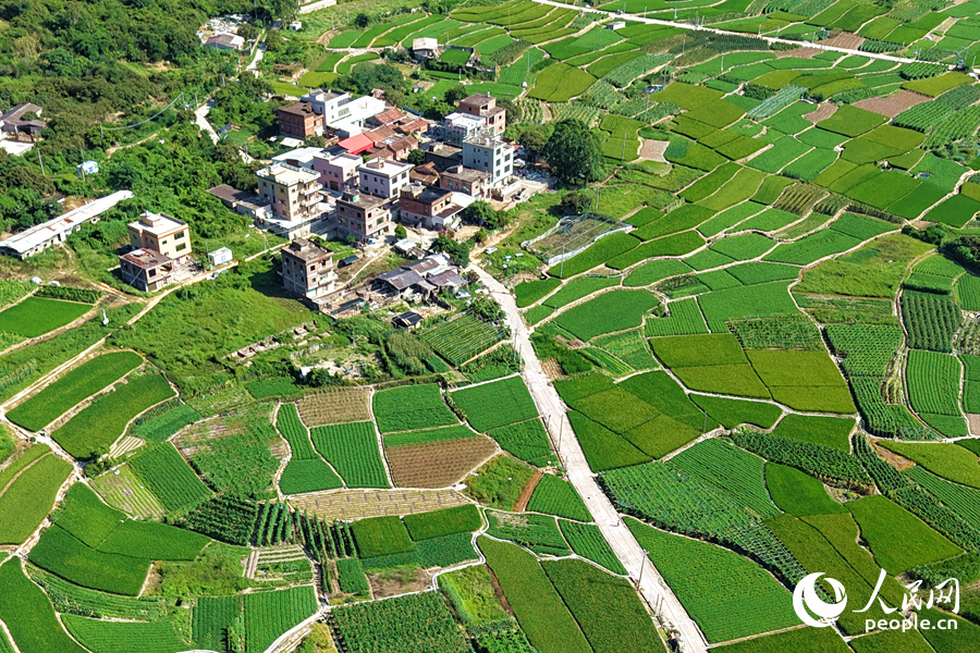 被多彩稻田包围的村庄。人民网记者 陈博摄