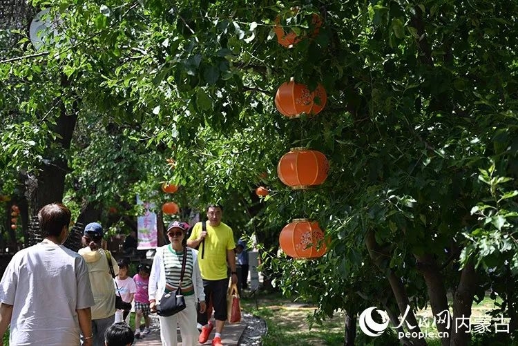 游客在乌素图杏花谷散步游玩。人民网记者 刘艺琳摄