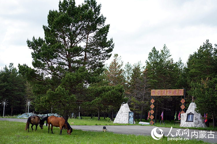 红花尔基樟子松国家森林公园美景。人民网记者 李睿摄