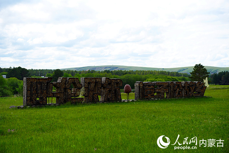 走进樟子松故乡。人民网记者 李睿摄