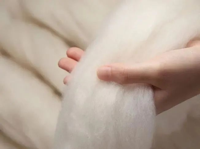 优质羊绒。（来源：鄂尔多斯市可持续发展促进中心）