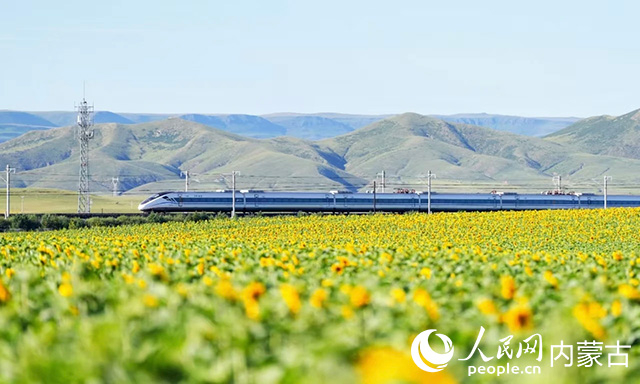 正在行驶的列车。中国铁路呼和浩特局集团有限公司供图