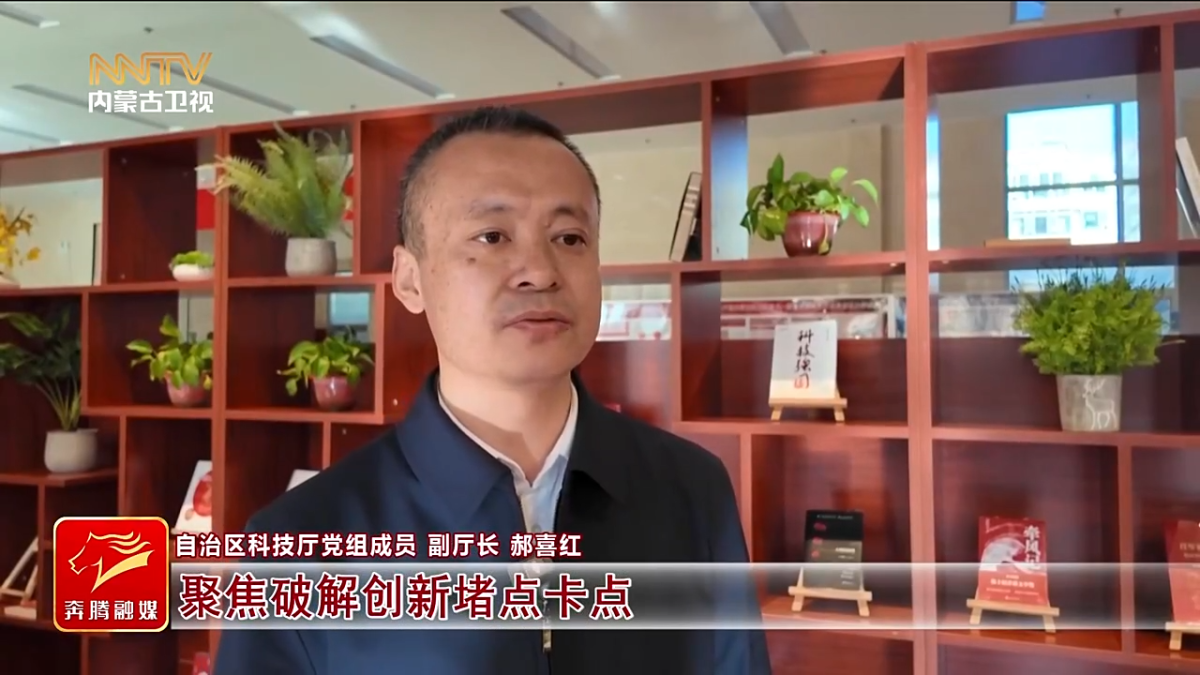 视频截图
