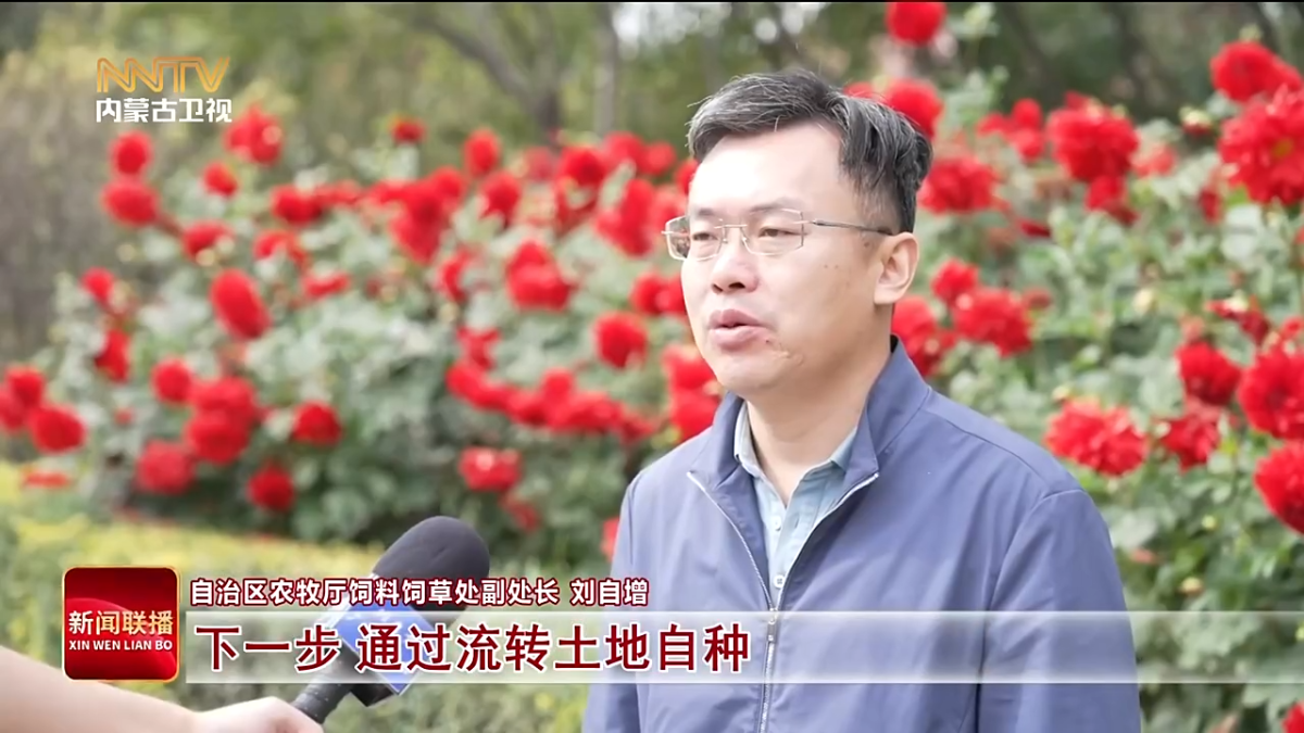 视频截图