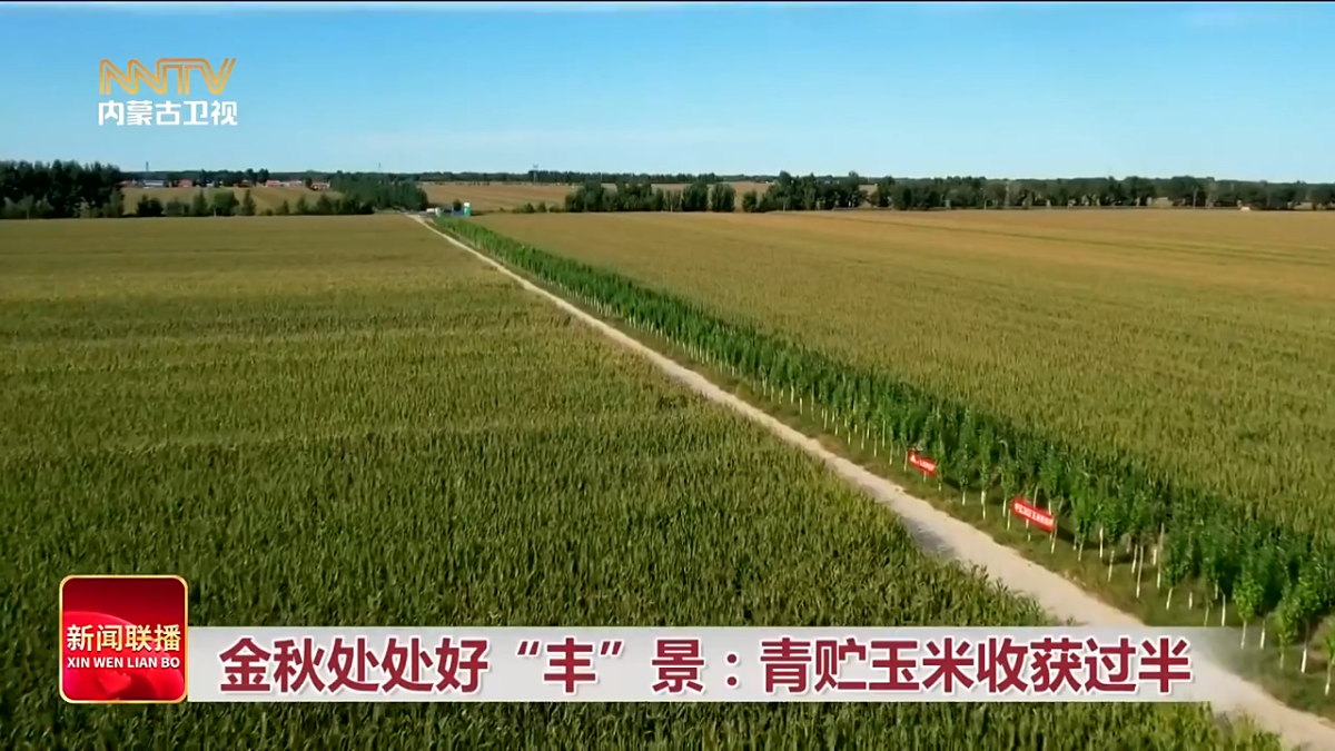 视频截图