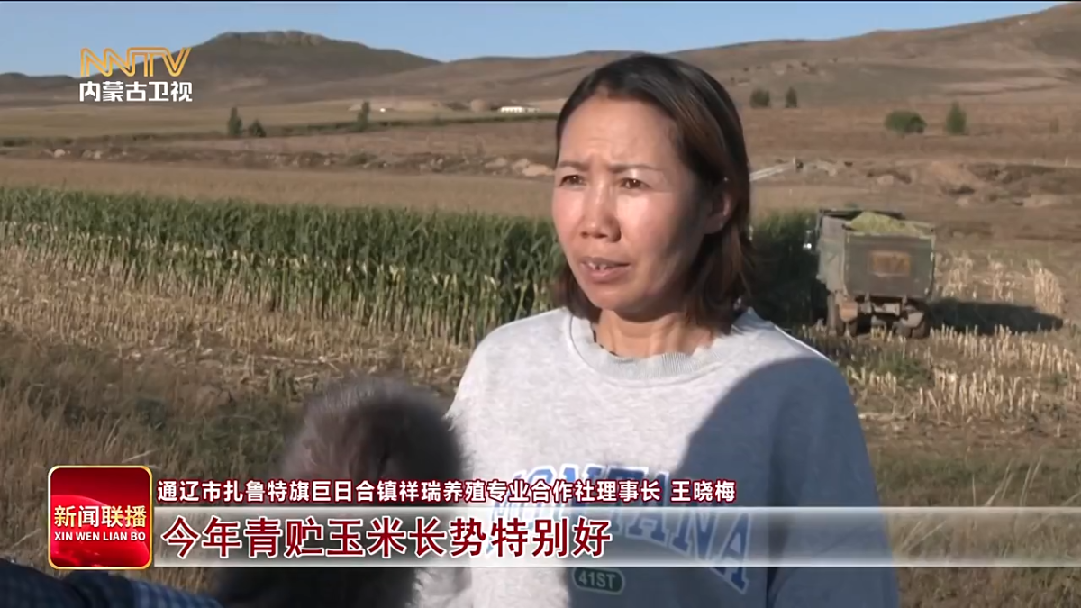 视频截图