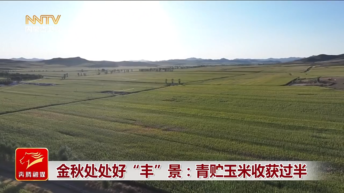 视频截图