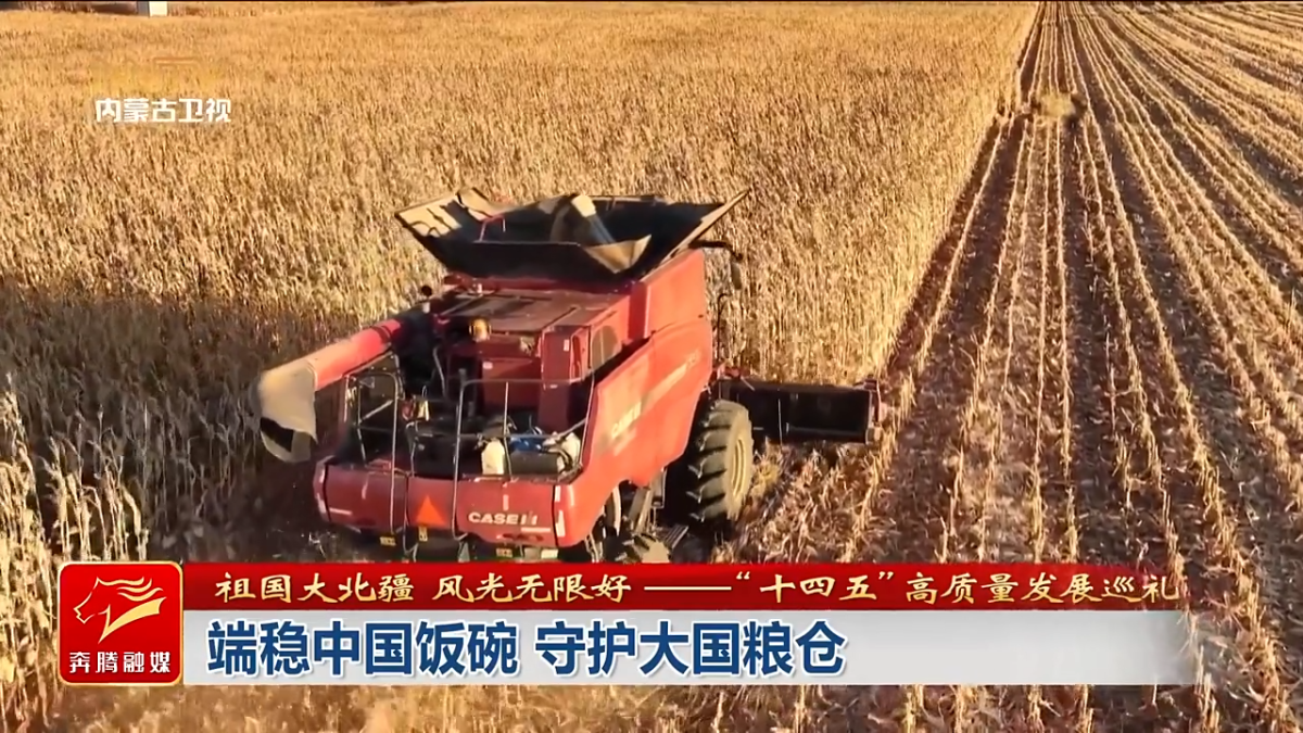 视频截图