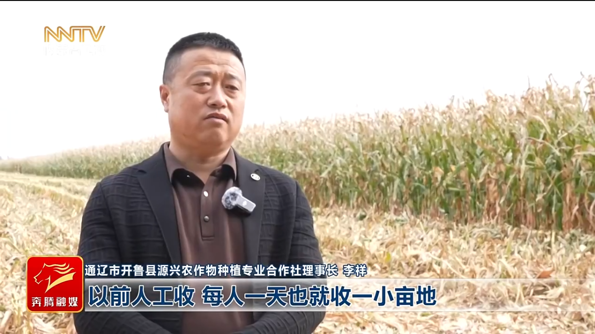 视频截图