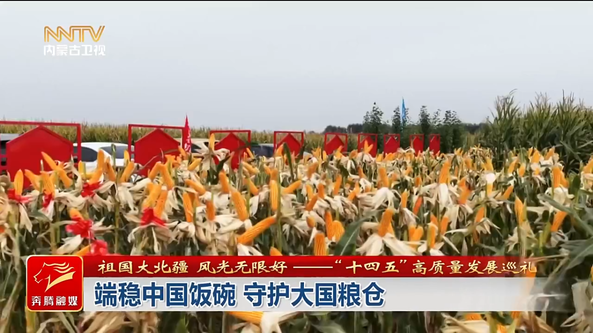 视频截图