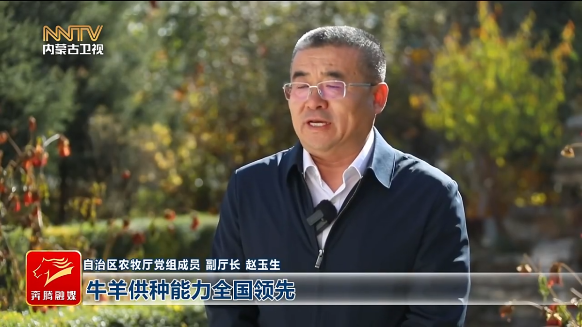 视频截图