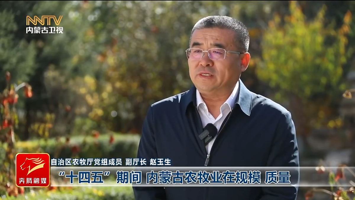 视频截图