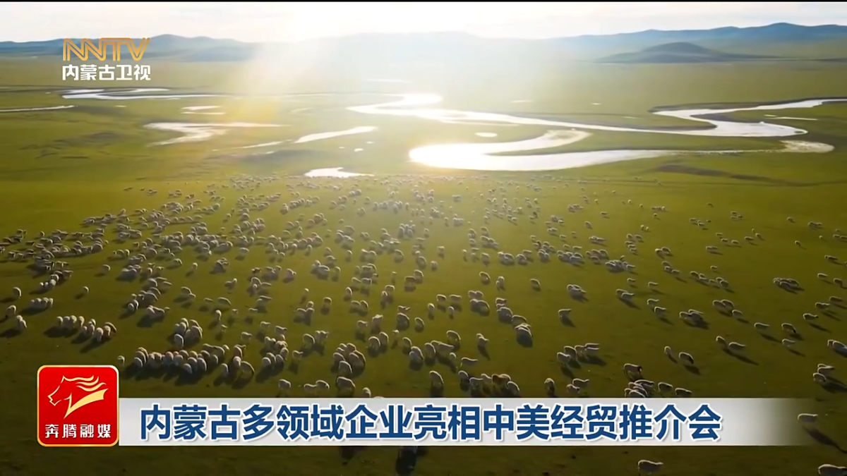 视频截图