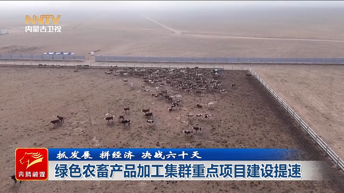 视频截图