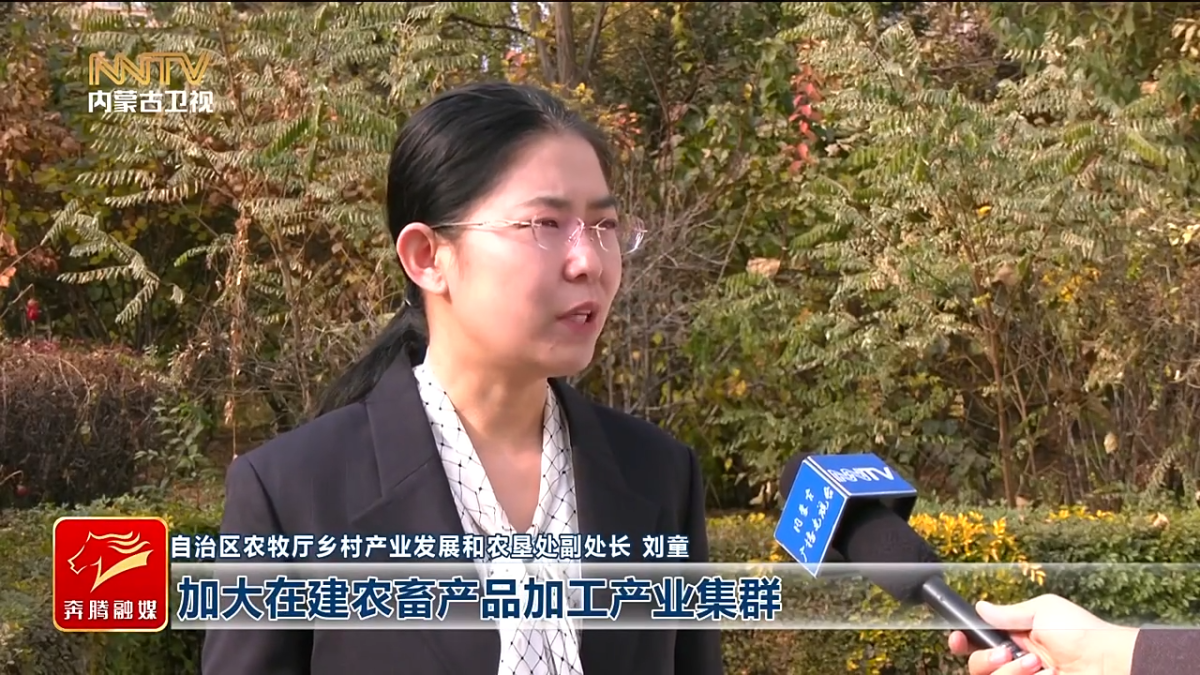 视频截图