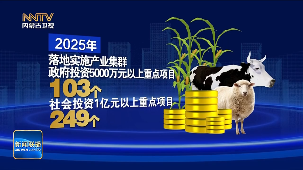 视频截图