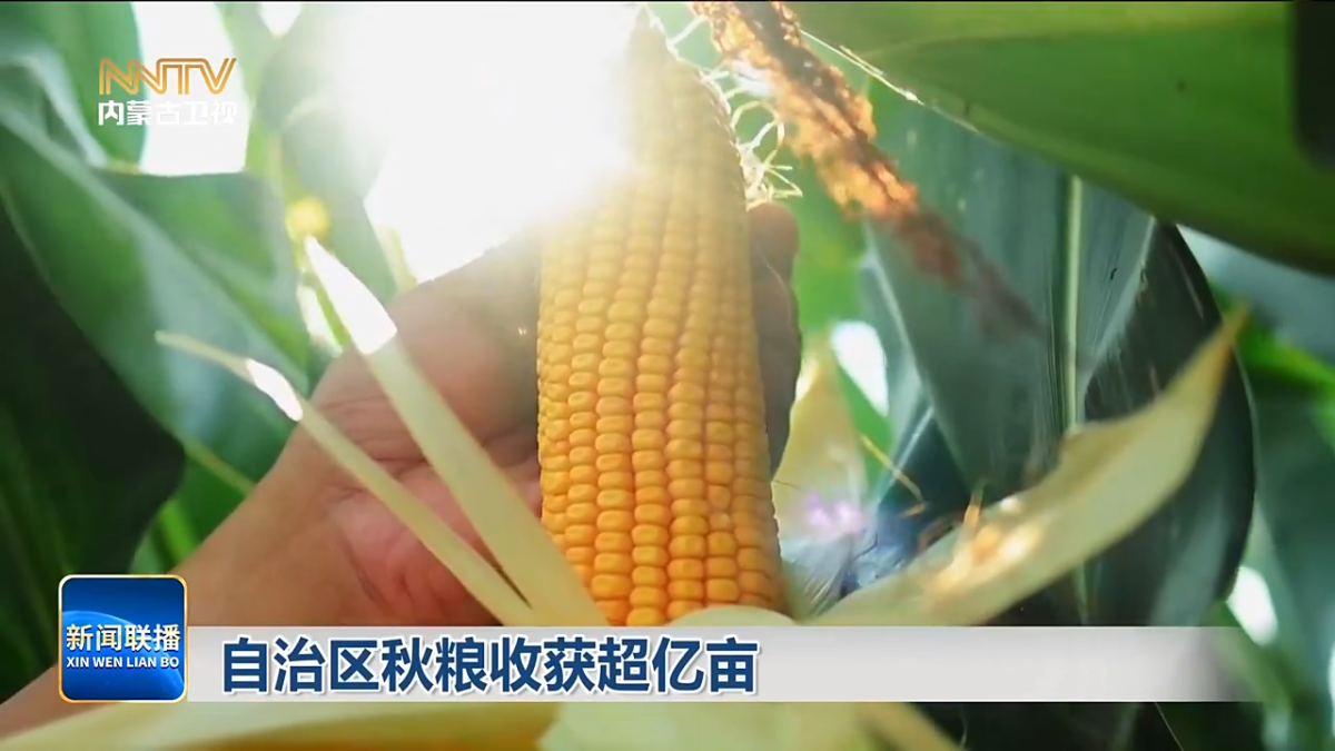 视频截图