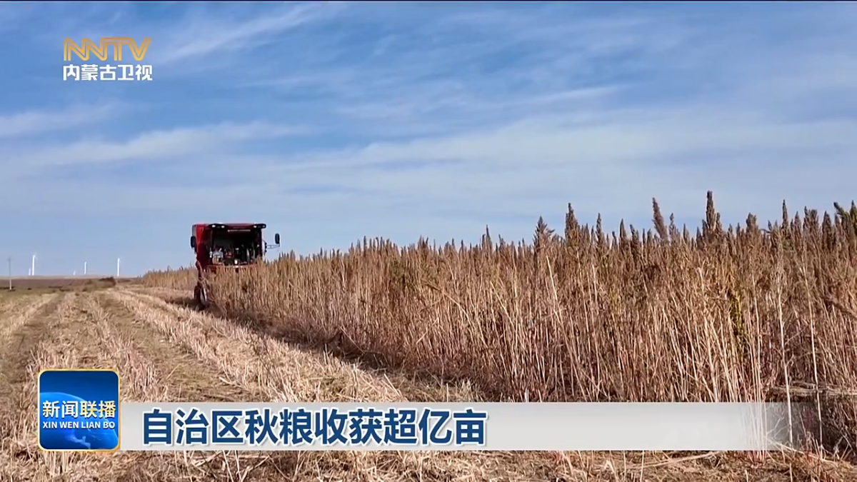 视频截图