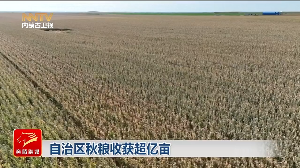 视频截图