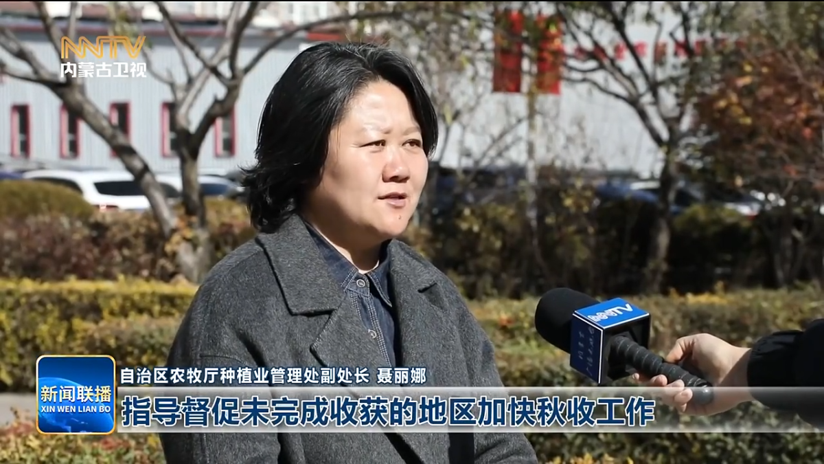 视频截图