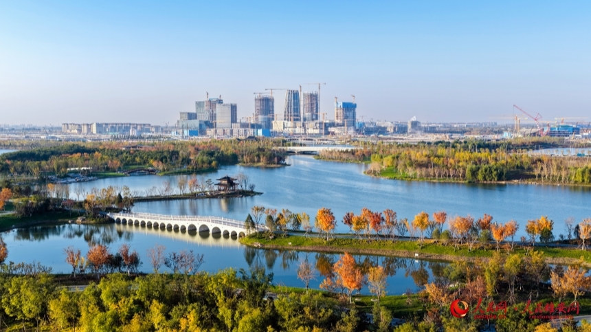 DJI_20251102161347_0154_D_副本