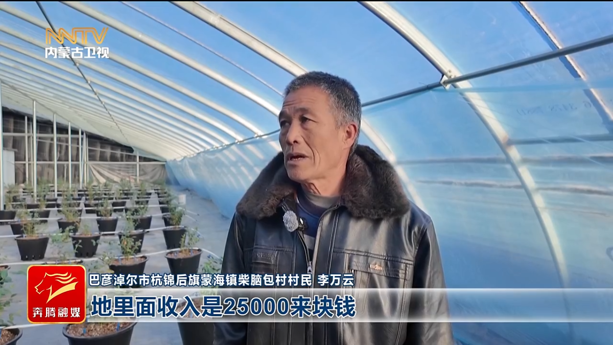 视频截图