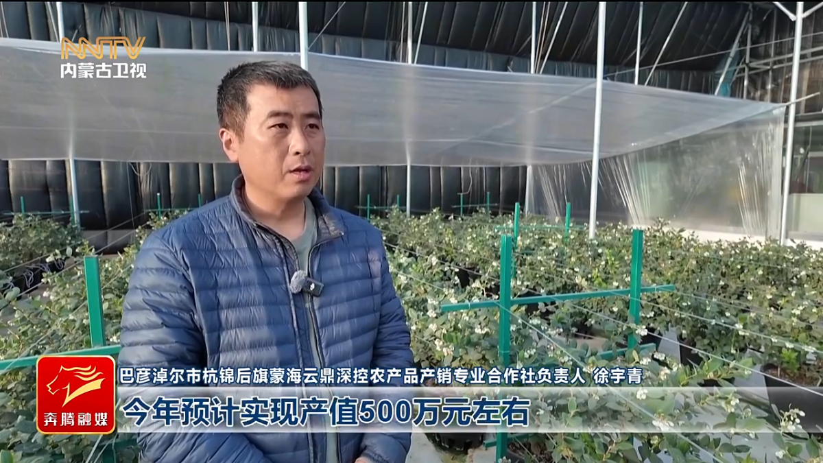 视频截图