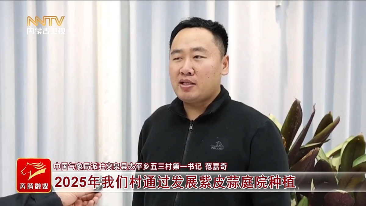 视频截图