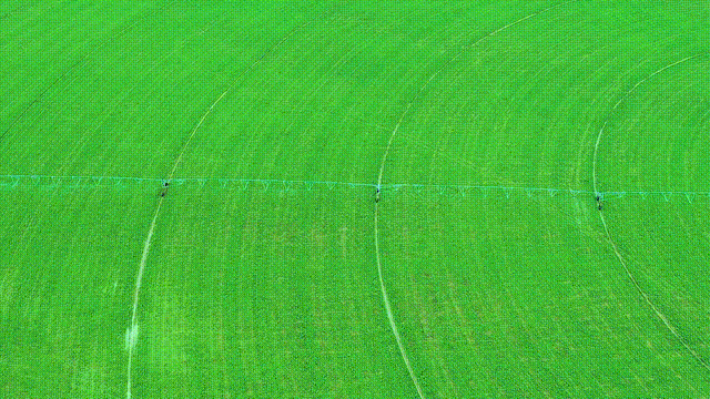 IMG_4451.GIF