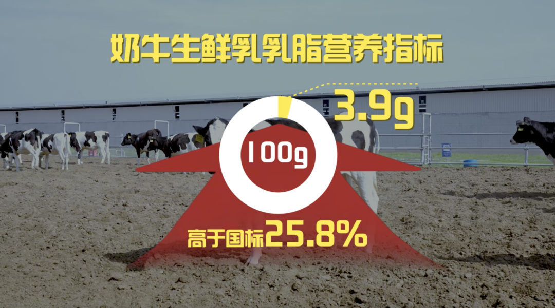 截屏2026-01-06 10.54.31.png