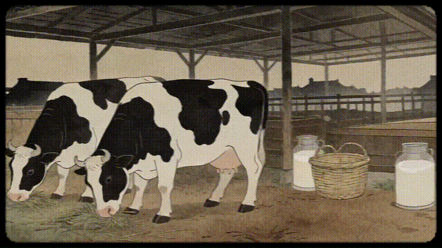 IMG_4449.GIF