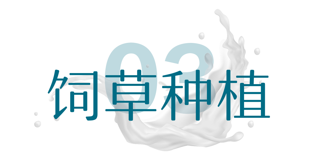 饲草种植.png