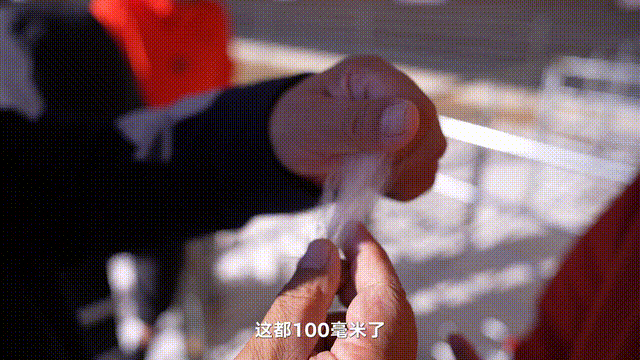 IMG_4488.GIF
