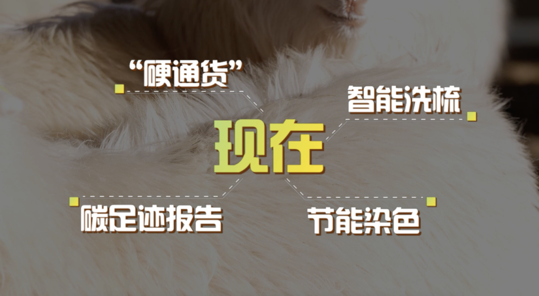 截屏2026-01-07 17.03.44.png