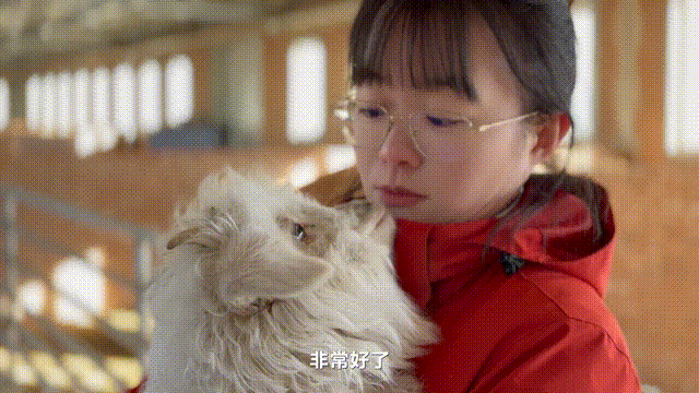 IMG_4490.GIF